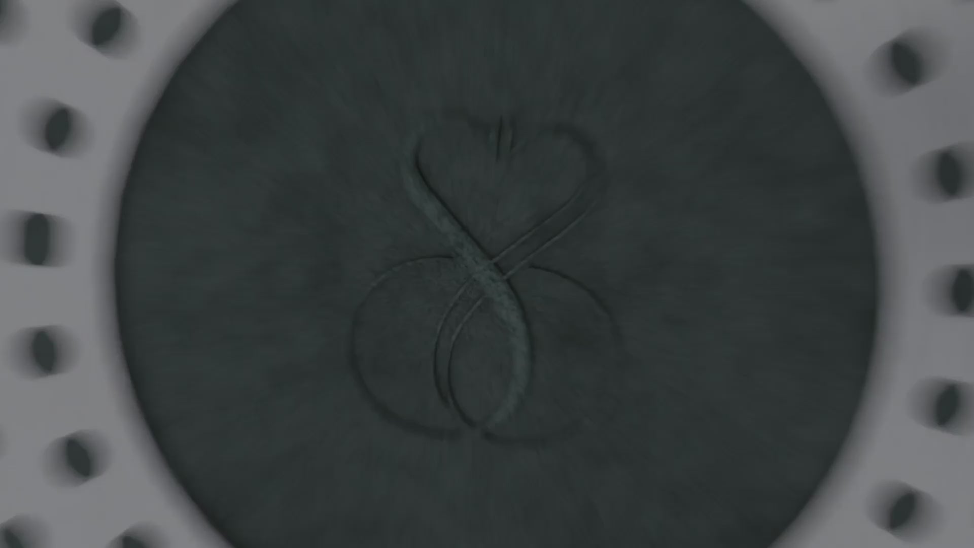 TEGLIA 34X25 CM Pirofila rostiera professionale + coperchio, estremamente Antiaderente in pietra fondo a induzione in acciaio